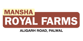 Mansha Royal City